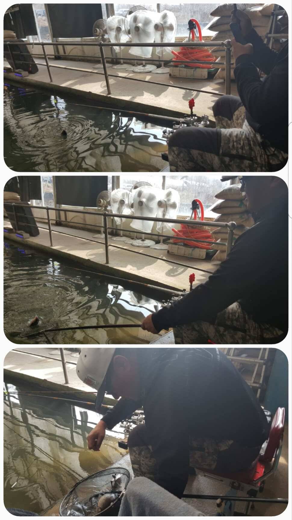 능곡낚시터 조행기 입니다 (유료터정보 - 유료터조행기)