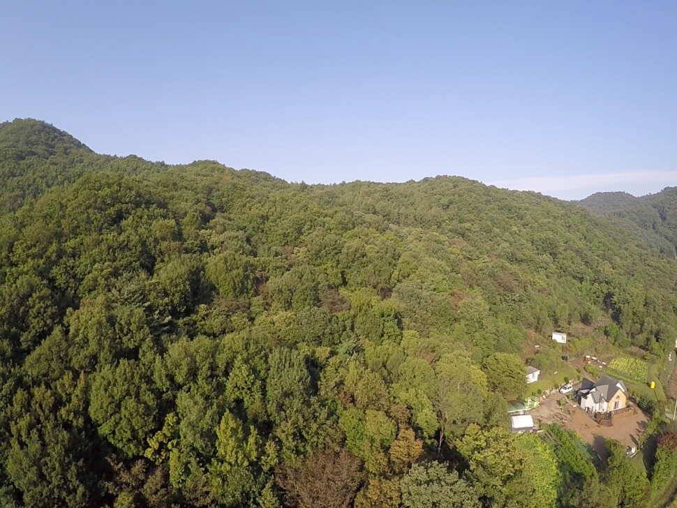 오산나그네오산나그네의 추곡낚시터 조행기 이젠 가을이네요 (유료터정보 - 유료터조행기)