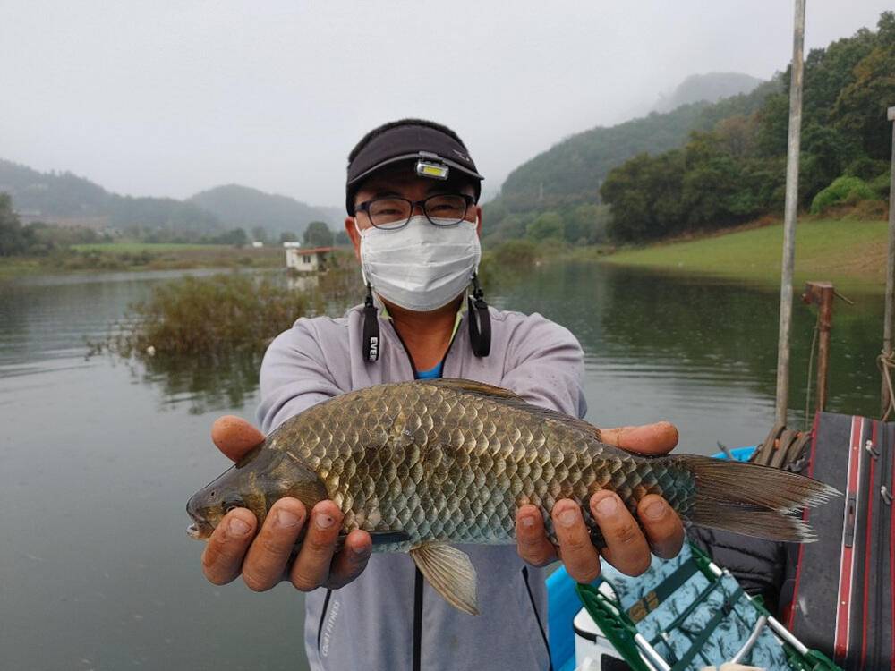 하천낚시터 4짜에 마릿수 꽃바위낚시터 38cm 허리급 조황 (조황조행기 - 특파원조황)