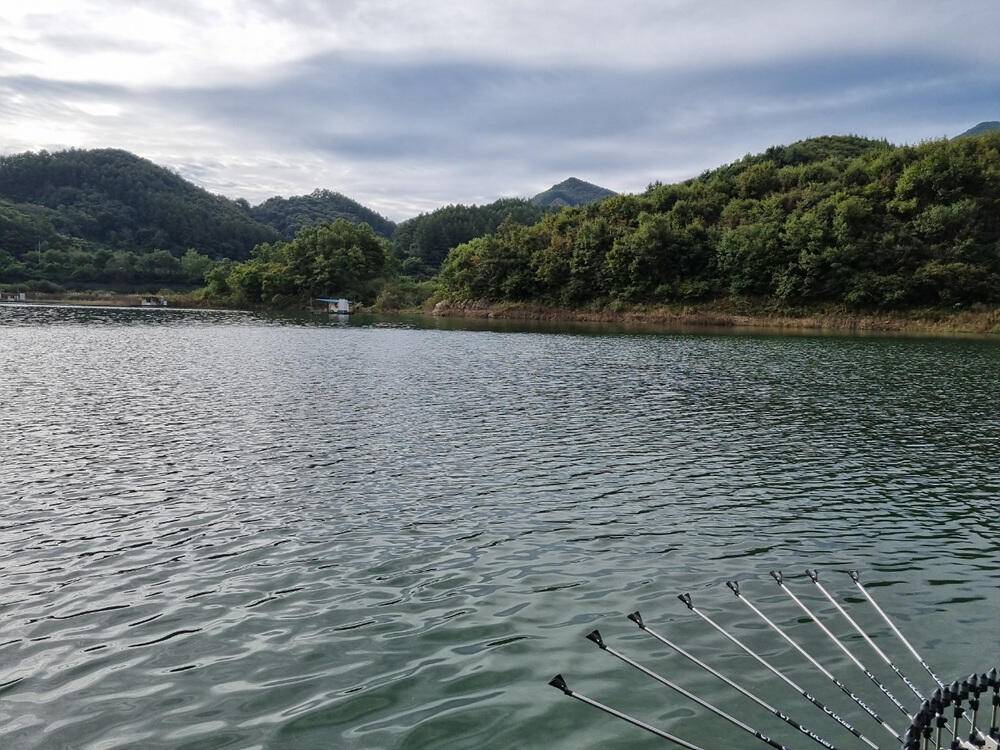 충주호 하천 낚시터 4짜 대물붕어 소식입니다 (조황조행기 - 특파원조황)