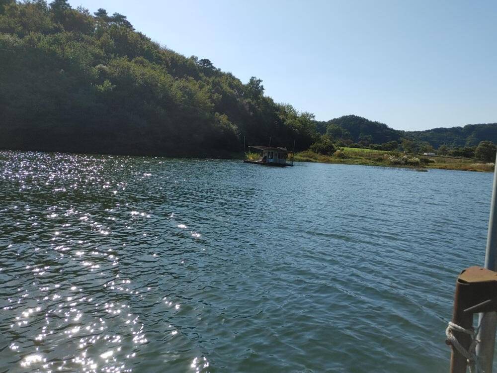 하천낚시터 4짜붕어 소식입니다 (조황조행기 - 특파원조황)