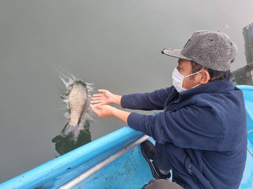충주호 하천 낚시터 45cm 대물 붕어 소식입니다 (조황조행기 - 특파원조황)