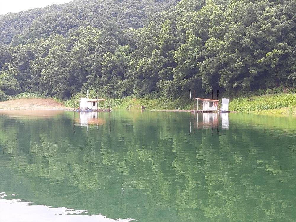 하천 낚시터 4짜와 마릿수 붕어 소식 (조황조행기 - 특파원조황)