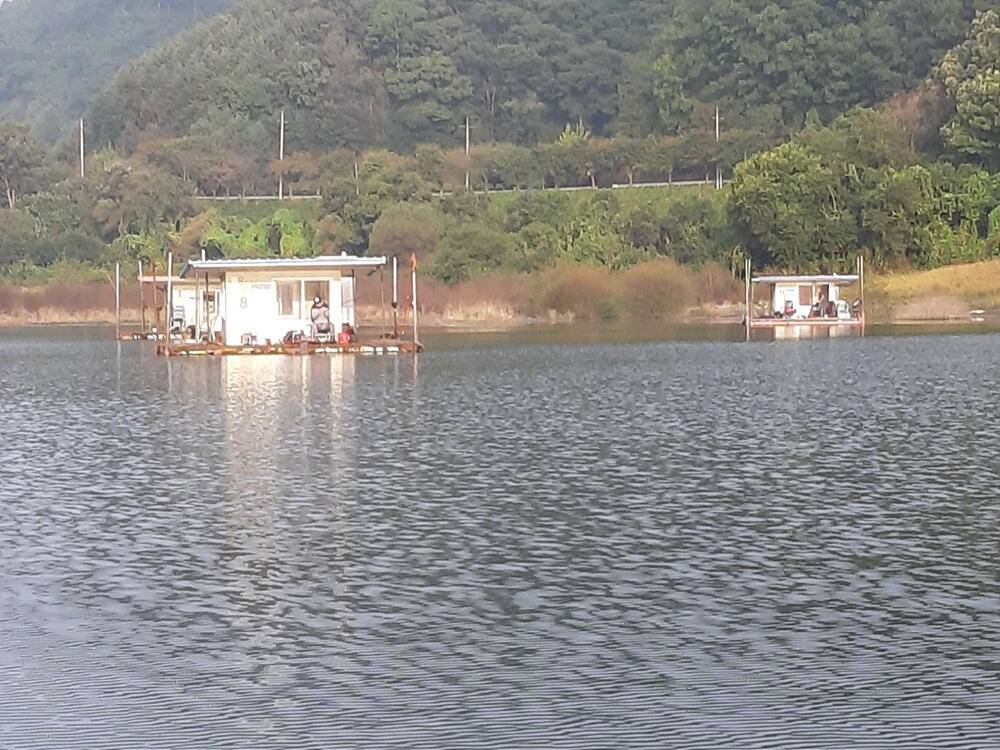 충주호 하천 낚시터 조황 소식입니다 (조황조행기 - 특파원조황)