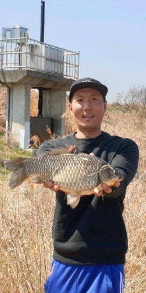 평택호 대물붕어 (조황조행기 - 특파원조황)