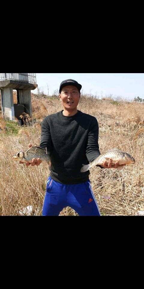 평택호 대물붕어 (조황조행기 - 특파원조황)