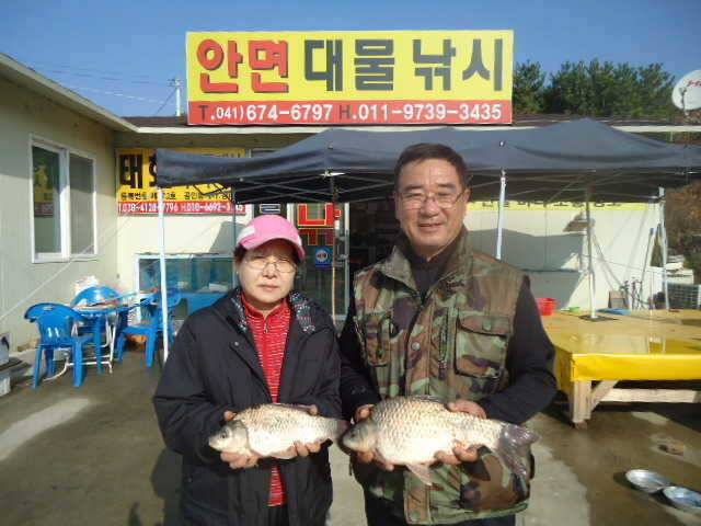 안면도권 저수지 및 수로 부남호 주말 조황 안내 (조황조행기 - 특파원조황)