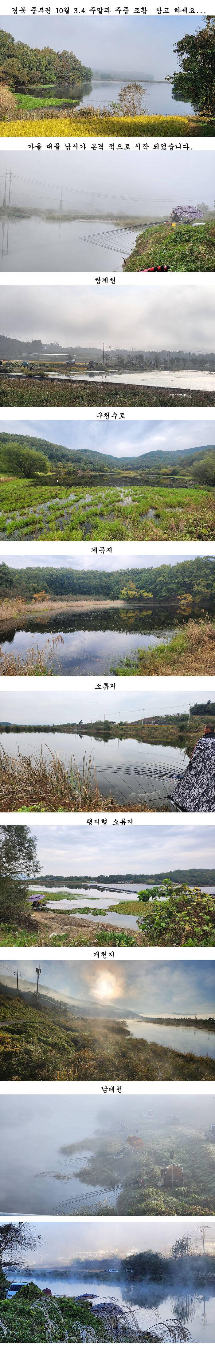 경북중부권 가을 대물낚시시작입니다 (조황조행기 - 특파원조황)