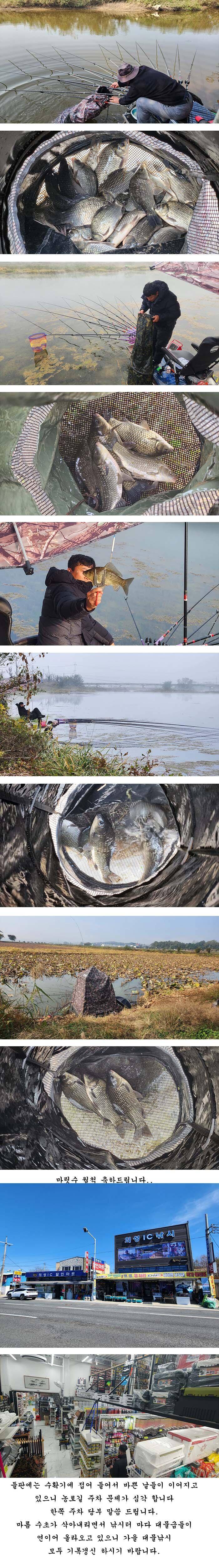 경북중부권 가을 대물낚시시작입니다 (조황조행기 - 특파원조황)