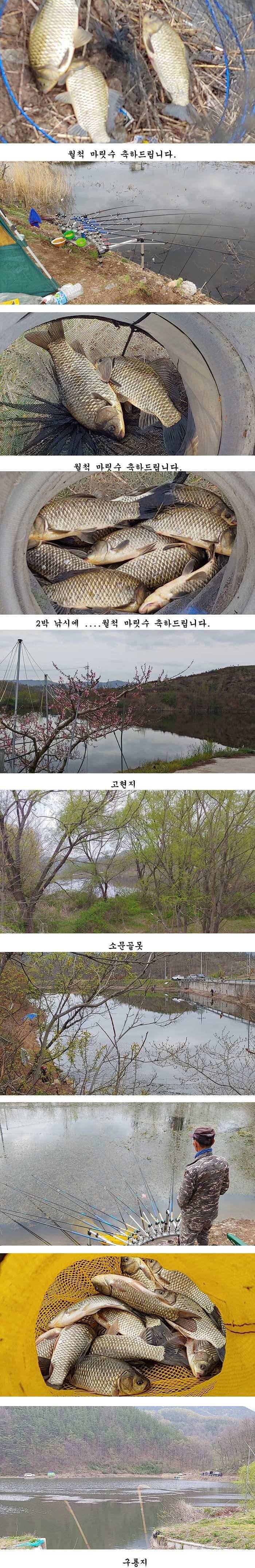 경북북부권 봄엔 대물붕어 마릿수 (조황조행기 - 특파원조황)