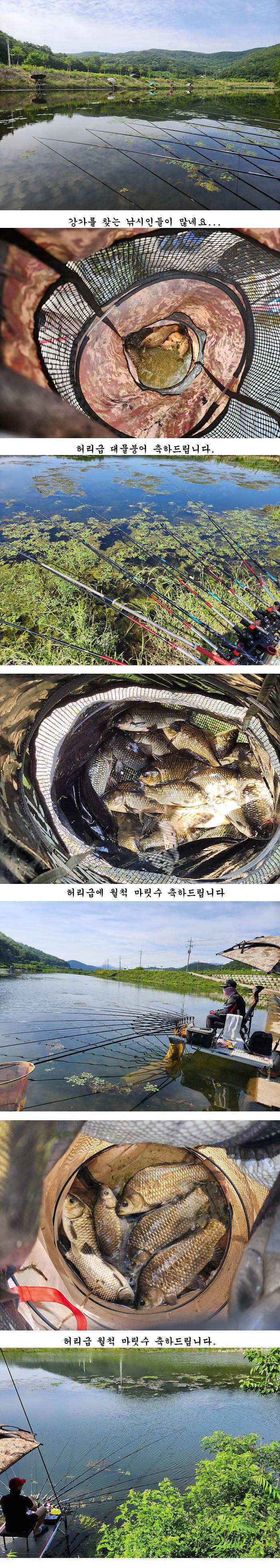 5짜와4짜허리급들 (조황조행기 - 특파원조황)