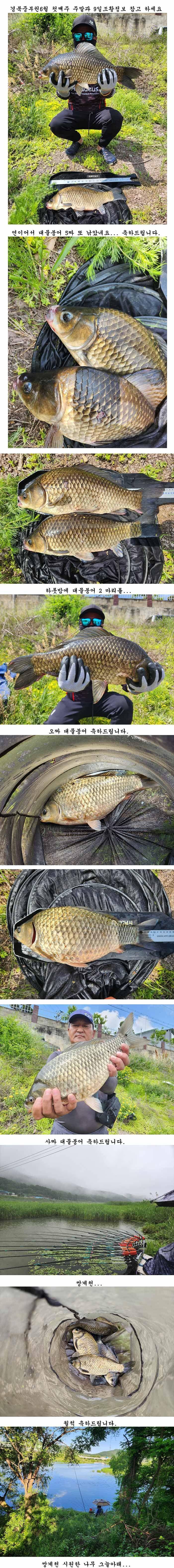 5짜와4짜허리급들 (조황조행기 - 특파원조황)