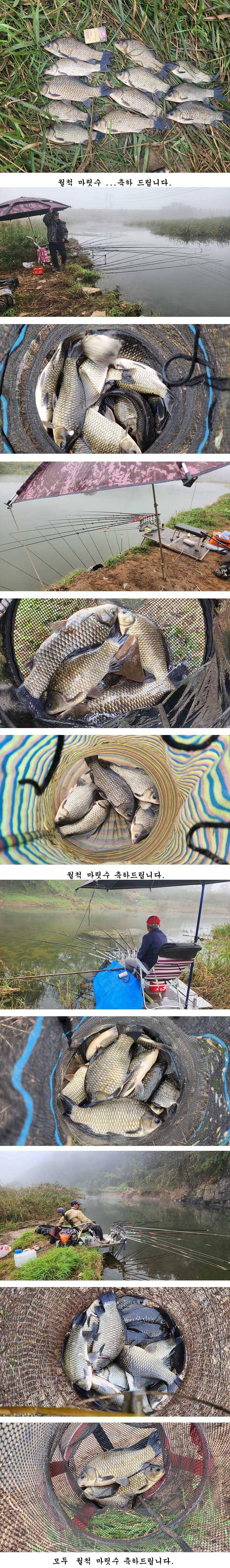 경북중부권 가을 대물낚시시작입니다 (조황조행기 - 특파원조황)