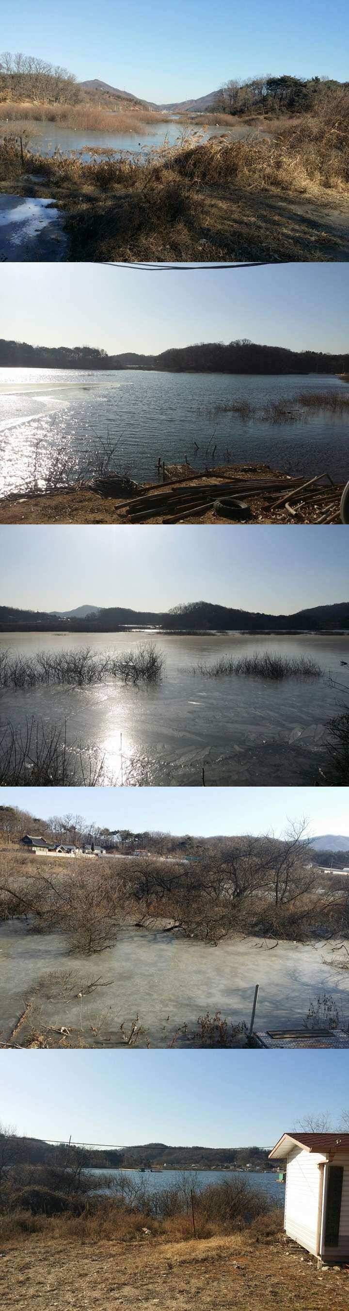고삼지 일부지역 얼음낚시 가능 (조황조행기 - 특파원조황)