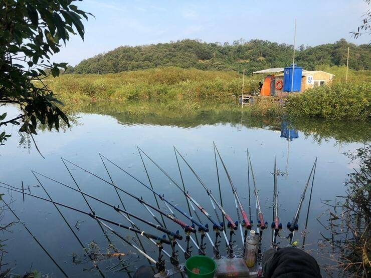 추석선물고삼지 (조황조행기 - 특파원조황)