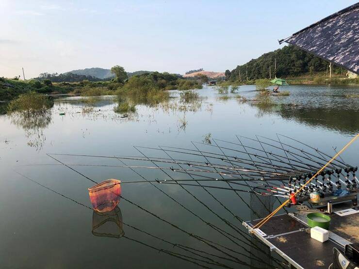 추석선물고삼지 (조황조행기 - 특파원조황)