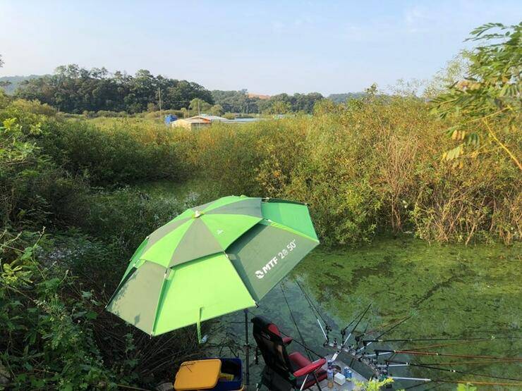 추석선물고삼지 (조황조행기 - 특파원조황)