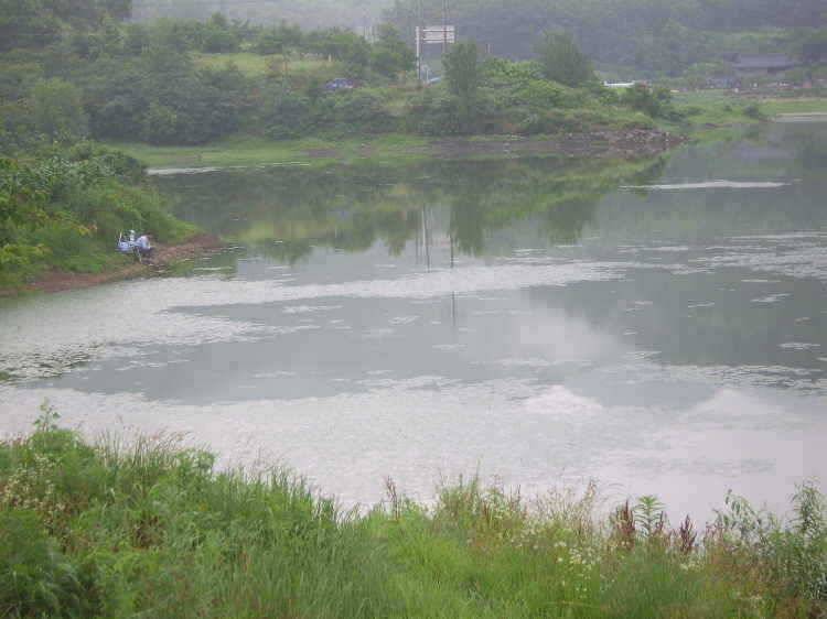 경주권 7월 5일 조황입니다 (조황조행기 - 특파원조황)