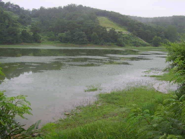 경주권 7월 5일 조황입니다 (조황조행기 - 특파원조황)