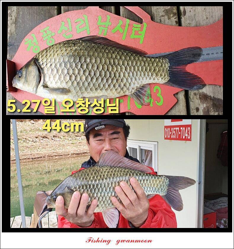 실리곡 44 cm41 cm40 cm돌감 40 cm사짜 조황 및 이벤트 시상 (조황조행기 - 특파원조황)