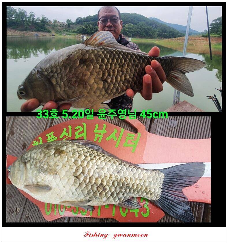신리실리곡최대어 이벤트 시상식 (조황조행기 - 특파원조황)