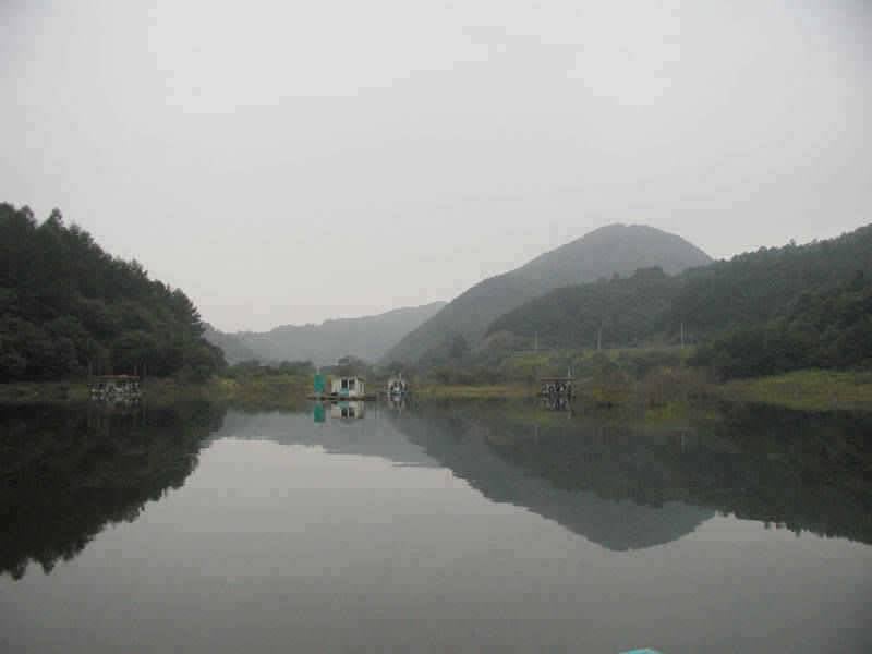 충주호 41cm대물붕어 다시 꿈틀대는 장어소식입니다 (조황조행기 - 특파원조황)
