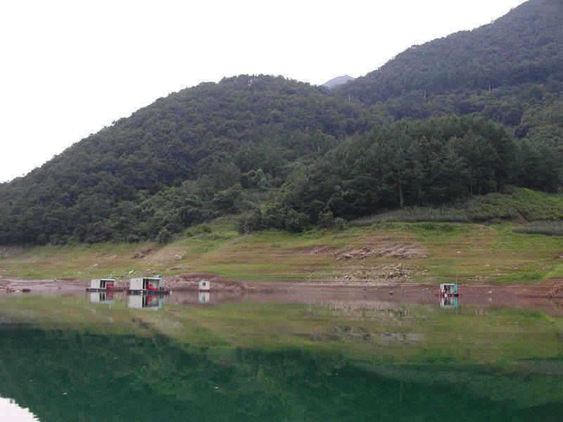충주호 월척붕어 소식에 15kg의 대물장어 소식입니다 (조황조행기 - 특파원조황)