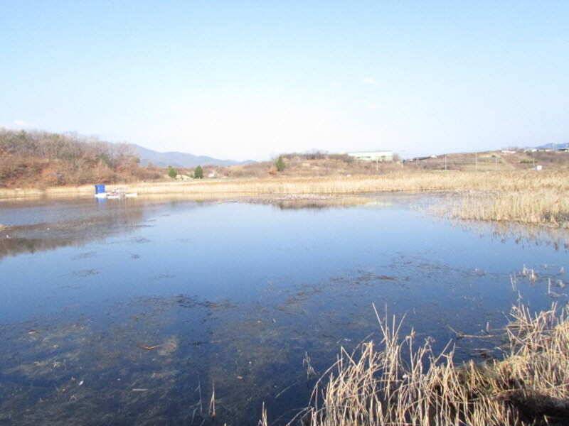 3월 4째주 조황입니다 (조황조행기 - 특파원조황)