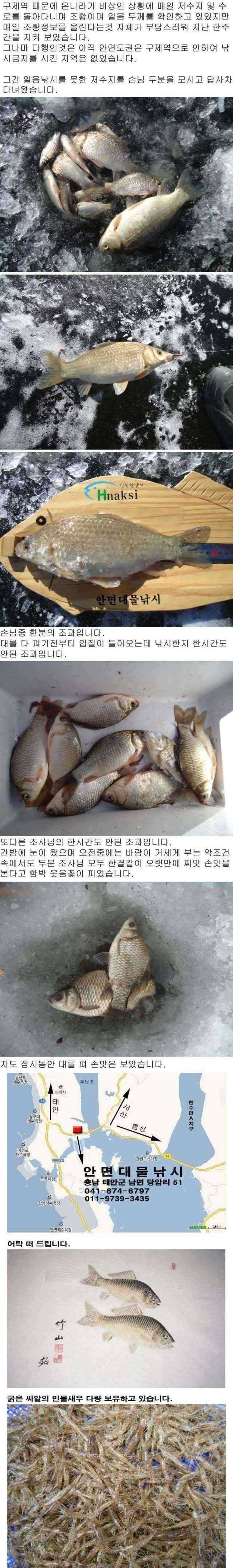 안면도권 저수지 얼음낚시 조황 안내 (조황조행기 - 특파원조황)