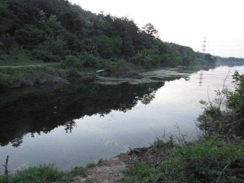 5월 3주차 조황 입니다 (조황조행기 - 특파원조황)