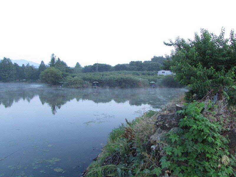 6월 4째주 조황입니다 (조황조행기 - 특파원조황)