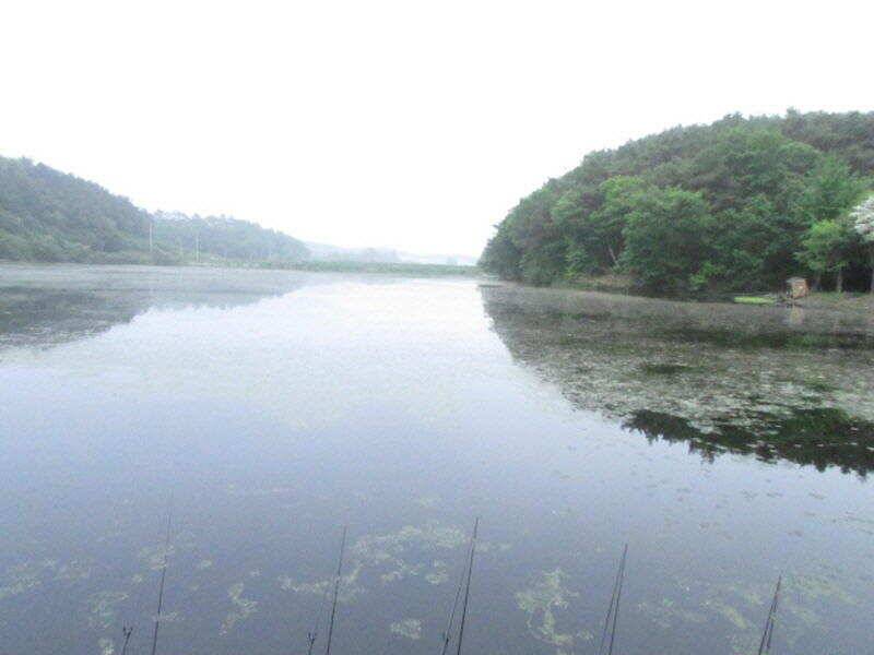 5월 4째주 조황입니다 (조황조행기 - 특파원조황)