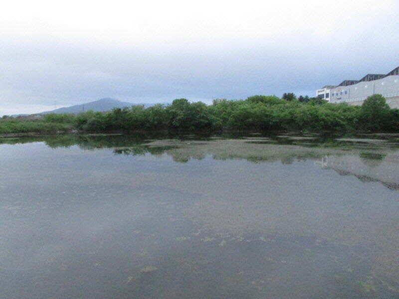 5월 3째주 조황입니다 (조황조행기 - 특파원조황)
