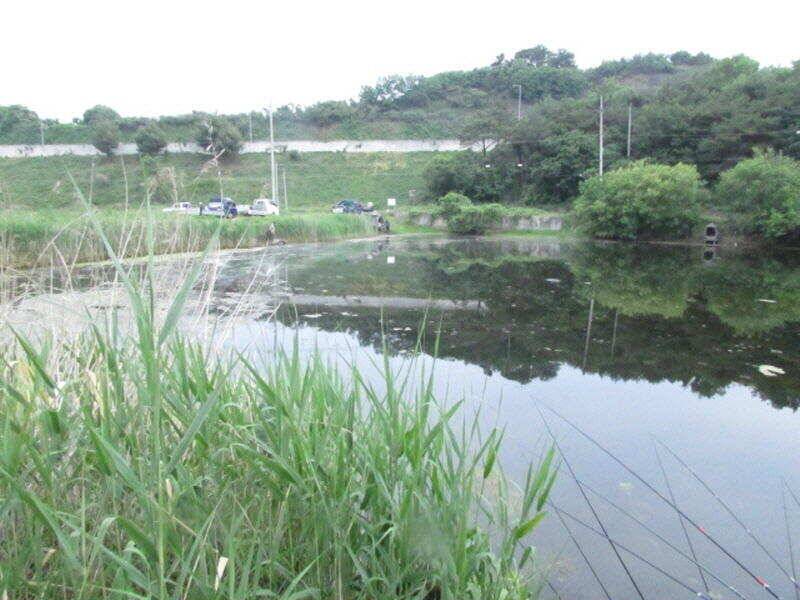 6월 첫주조황 입니다 (조황조행기 - 특파원조황)
