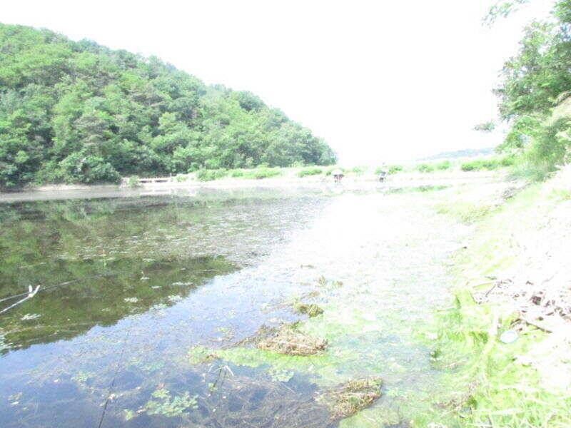 5월 마지막주 조황소식입니다 (조황조행기 - 특파원조황)
