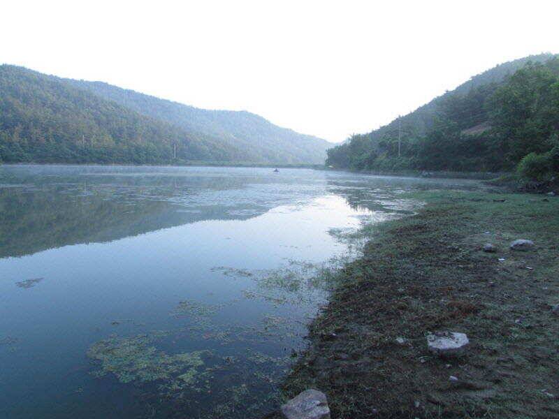 6월 4째주 조황입니다 (조황조행기 - 특파원조황)