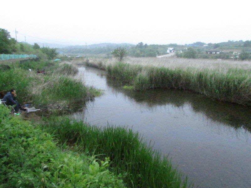 5월 4째주 조황입니다 (조황조행기 - 특파원조황)