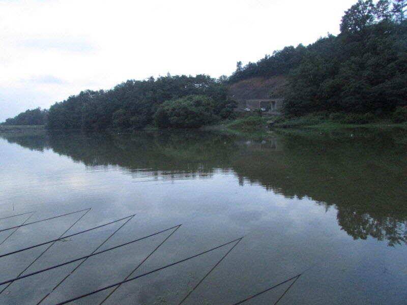 7월 첫주 조황입니다 (조황조행기 - 특파원조황)