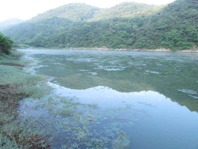 6월 4째주 조황입니다 (조황조행기 - 특파원조황)