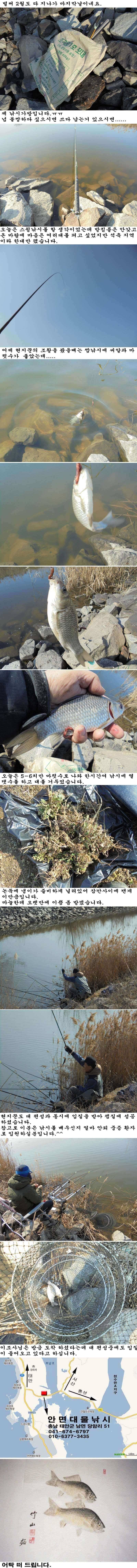 22 안면도권 염불보다 젯밥 조황 (조황조행기 - 특파원조황)