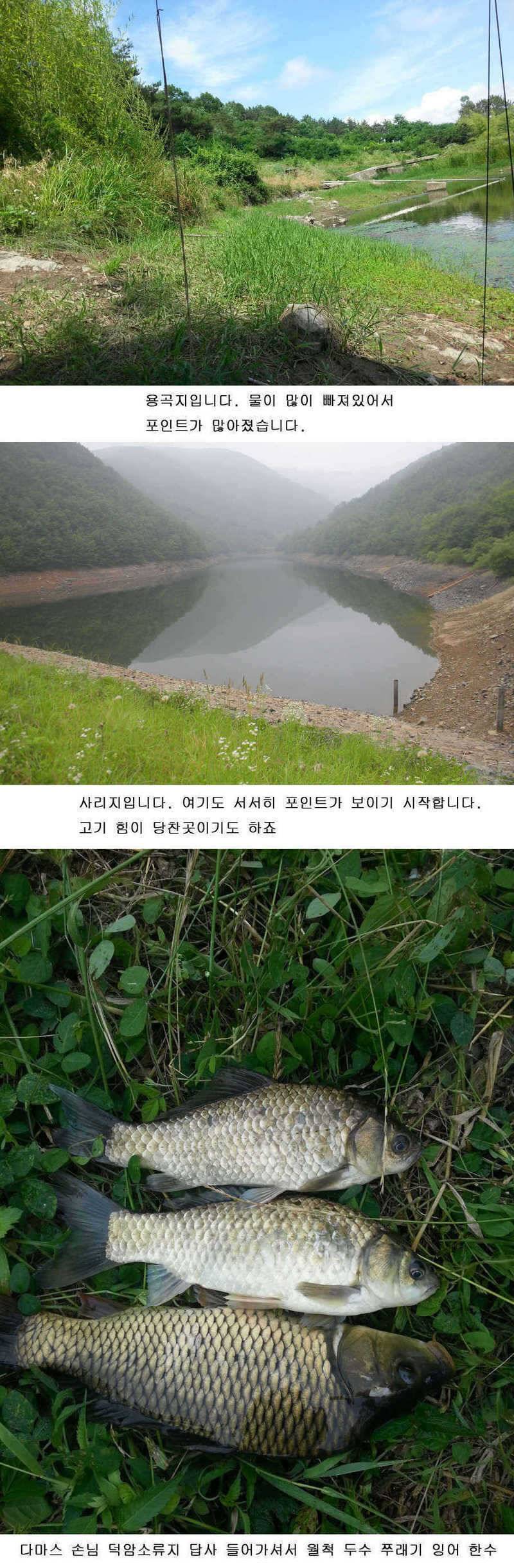 청도권 주중 주말 조황 (조황조행기 - 특파원조황)