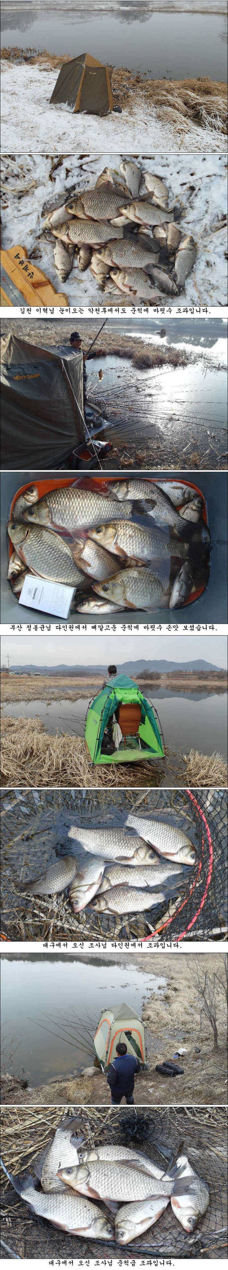 3월 첫째주 의성권 조황소식입니다 (조황조행기 - 특파원조황)