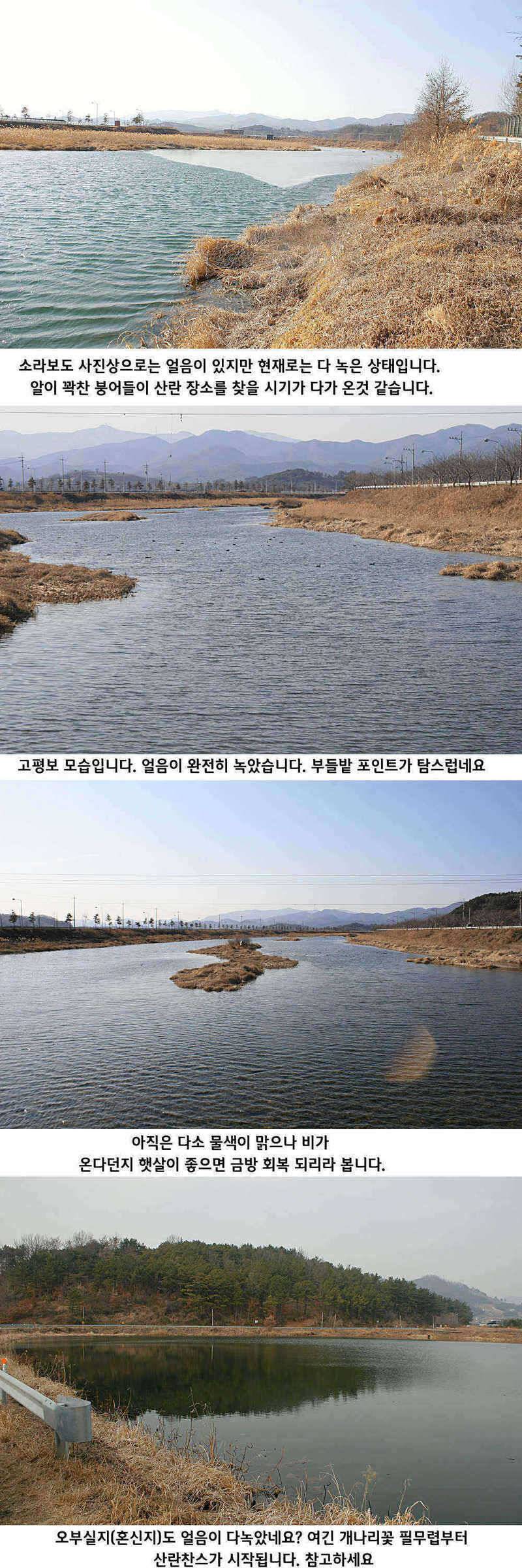 청도권 물낚시 시즌 오픈 (조황조행기 - 특파원조황)