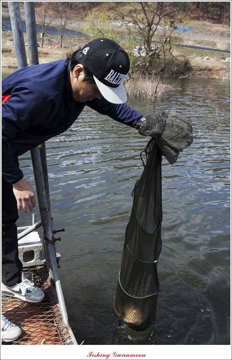 칠성지 사짜 대박 (조황조행기 - 특파원조황)