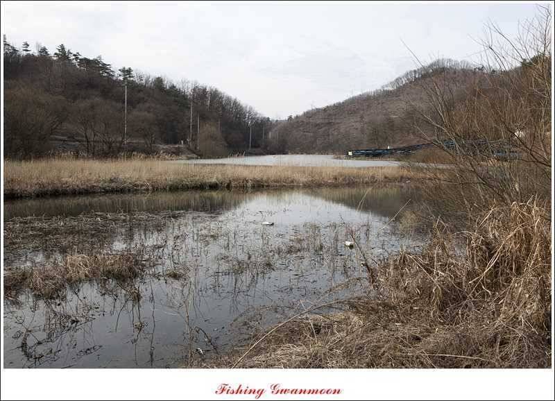 달천강괴산권 조황 (조황조행기 - 특파원조황)