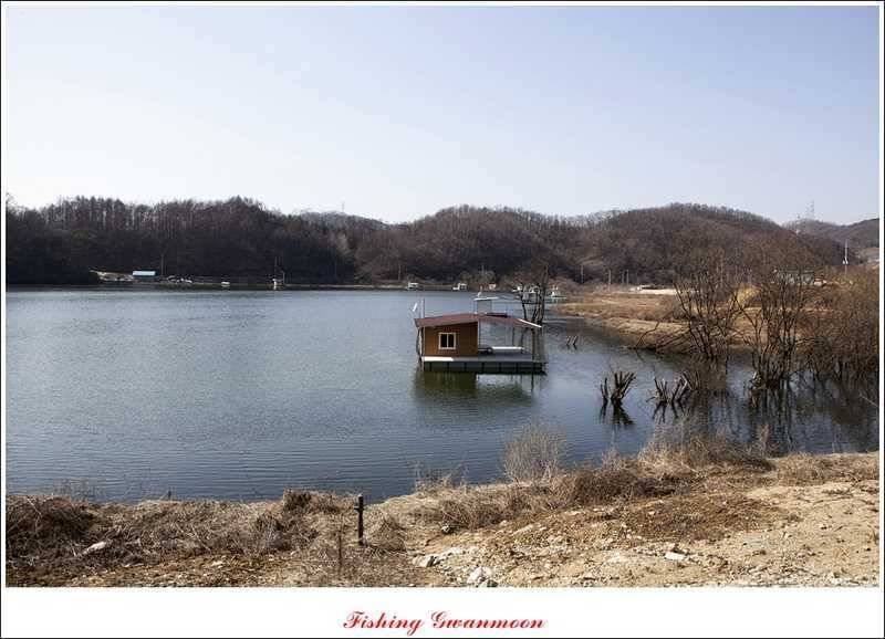 달천강괴산권 조황 (조황조행기 - 특파원조황)