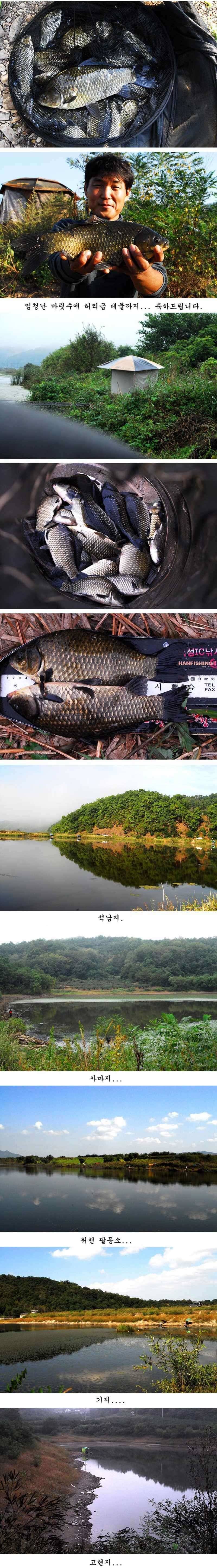 허리급에 마릿수 (조황조행기 - 특파원조황)