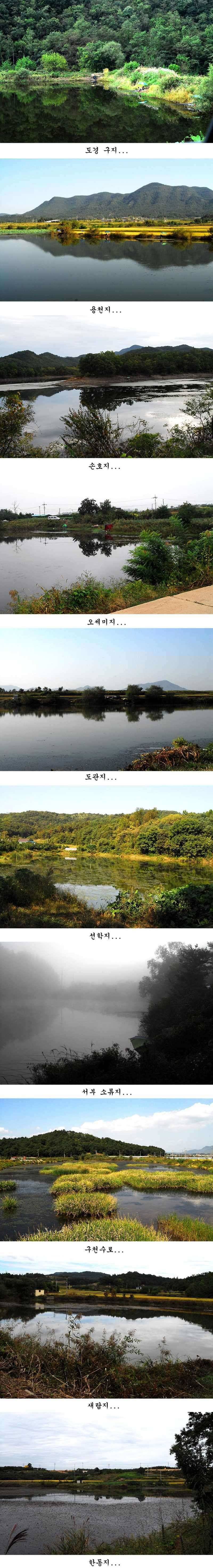 허리급에 마릿수 (조황조행기 - 특파원조황)