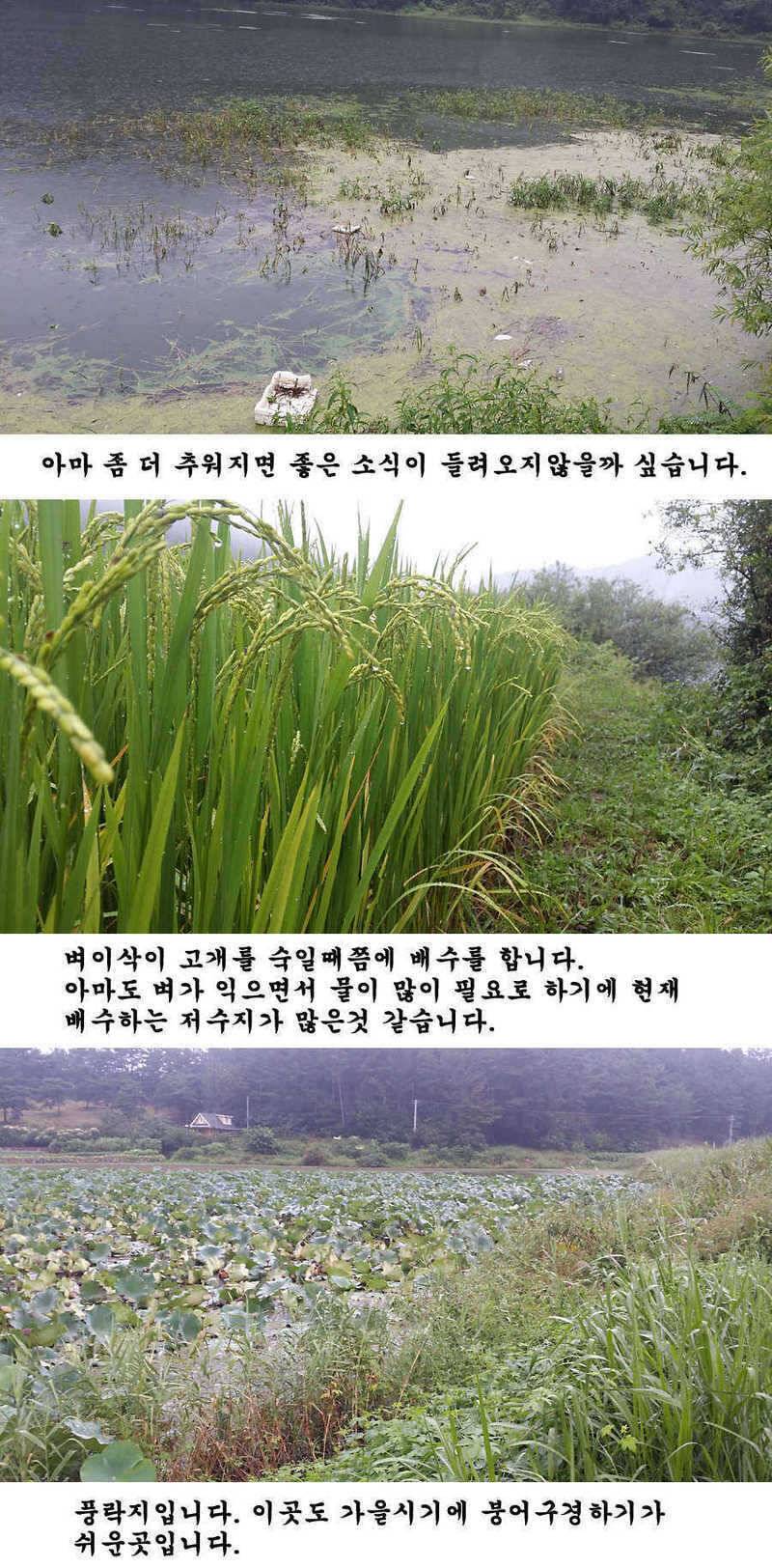 지난 청도권 조황입니다 (조황조행기 - 특파원조황)