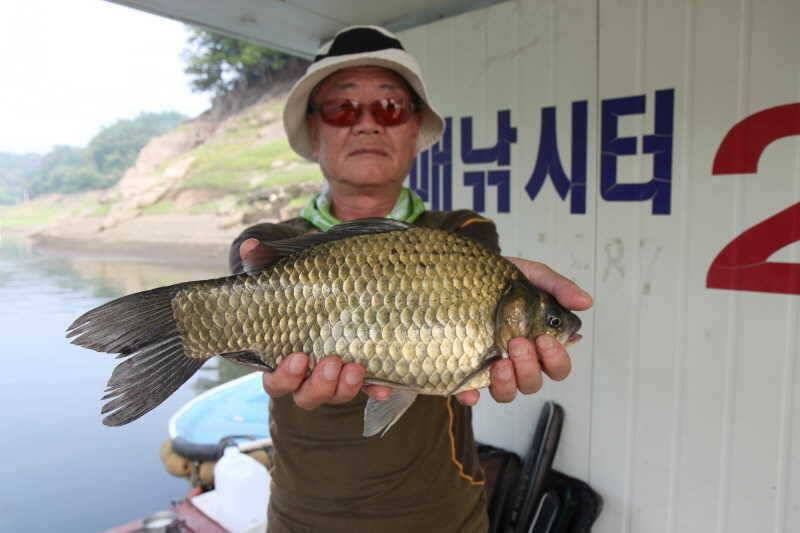 충주호 꾸준한 조황을 보이며 (조황조행기 - 특파원조황)